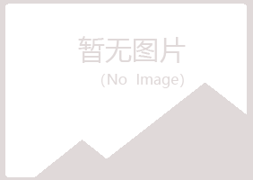 伊春新青夏日房地产有限公司